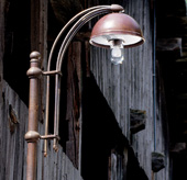 Sarson 6630
